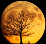superluna